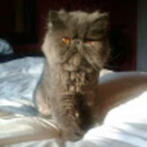 Meet your Posher, Barbara